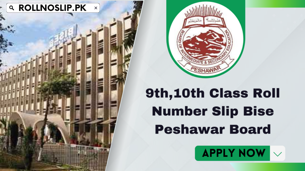 Peshawar Board 9th10th Class Roll Number Slip 2024